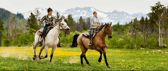 Confident plus-size woman riding Herefordshire a horse through a field with a smile on her face.